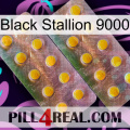 Black Stallion 9000 new10